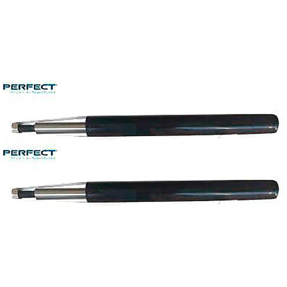 Par Amortecedor Suspensão - Perfect - AMD32113 - (1)