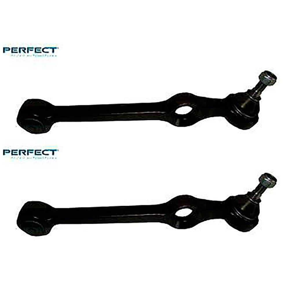 Par Braço Oscilante - Perfect - BRA3029 - (1)