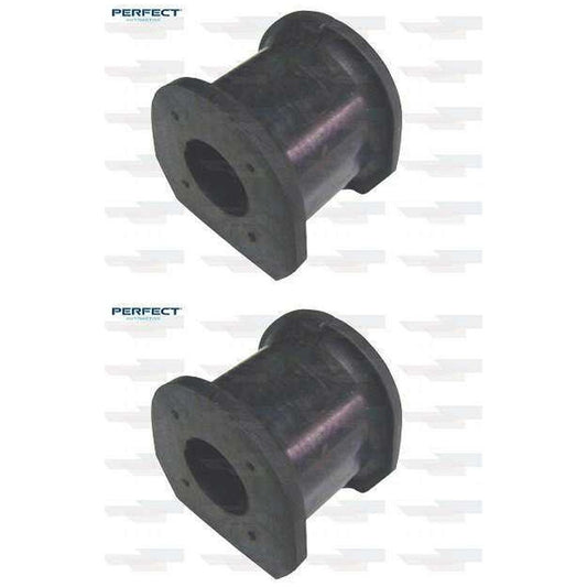 Par Bucha Barra Estab Dt - Perfect - BCH3105 - (1)