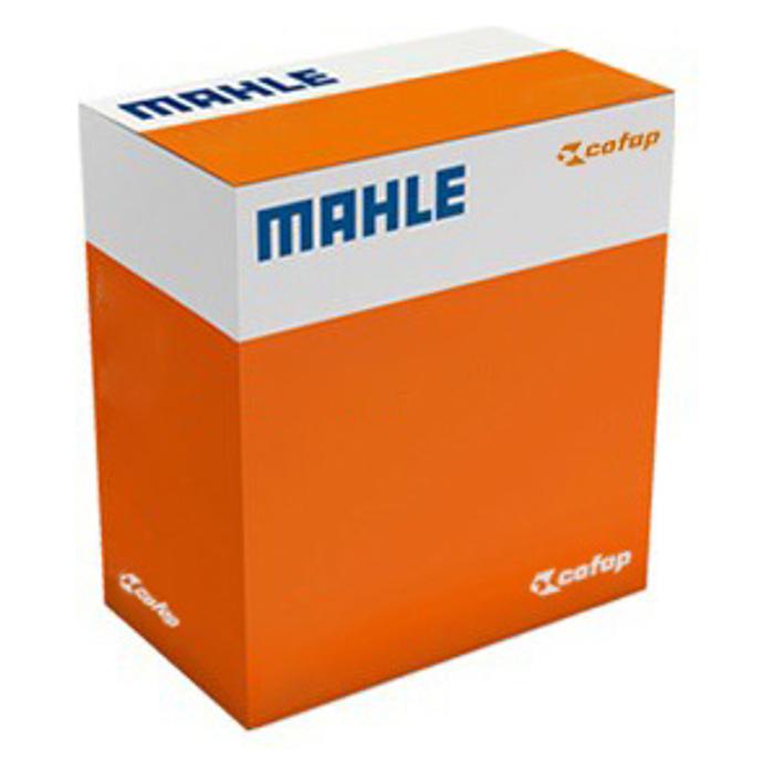 Pistão Com Anéis 0,75 - Mahle Cofap - CO P&A9170 0,75 - (1)