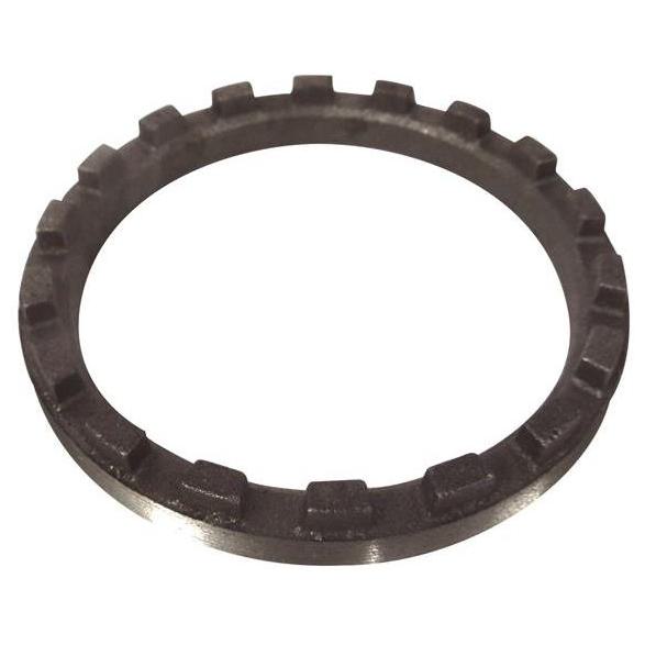 Porca Castelo - IMA - AL-277 - (1)