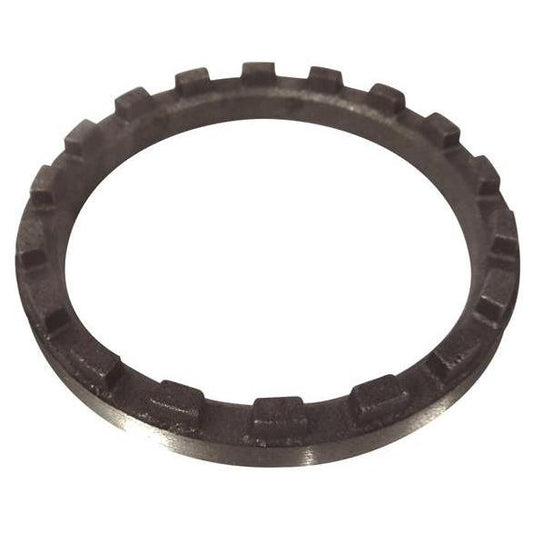 Porca Castelo - IMA - AL-277 - (1)