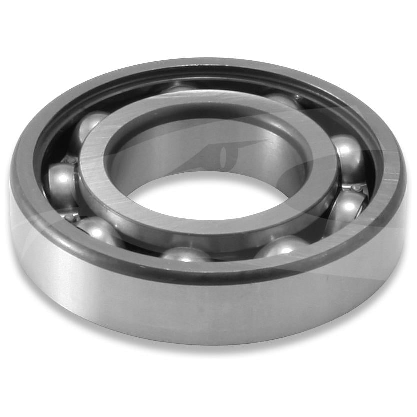 Rolamento Roda Diferencial - Cobra Automotiva - 6207 - (1)