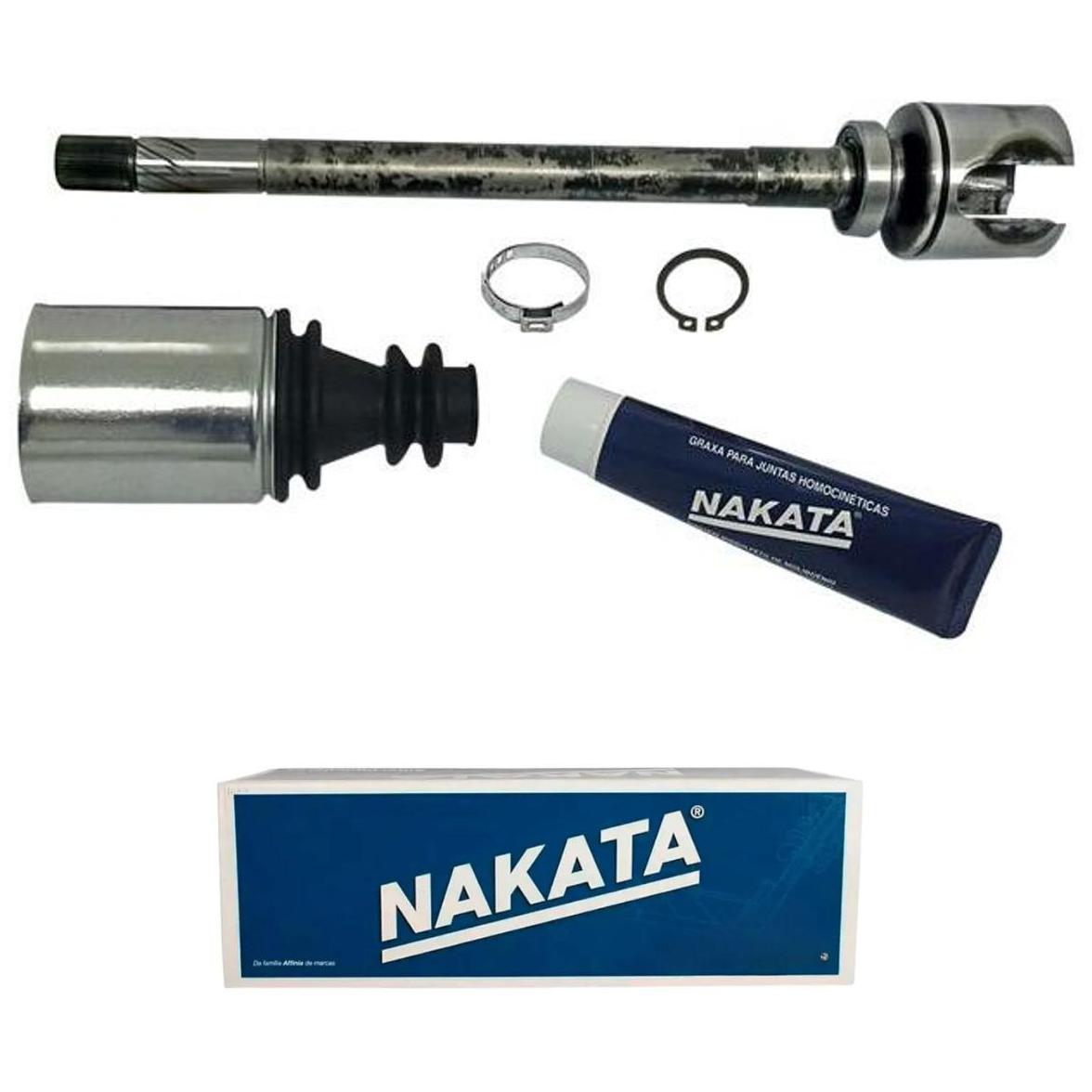 Tulipa - Nakata - NJH03-895D - (1)