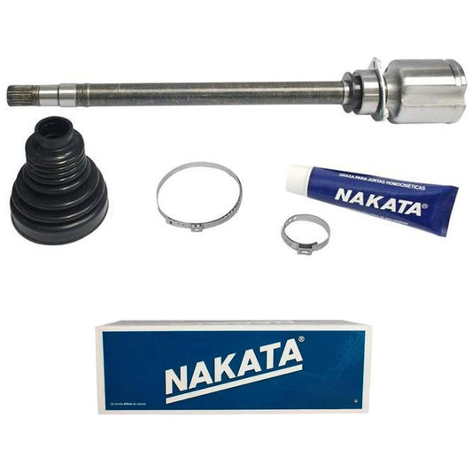 Tulipa - Nakata - NJH12-290D - (1)